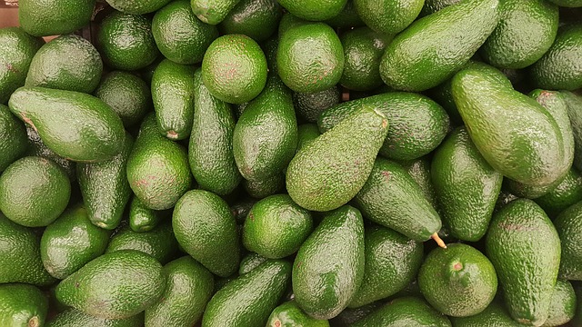 avocado ovoce.jpg